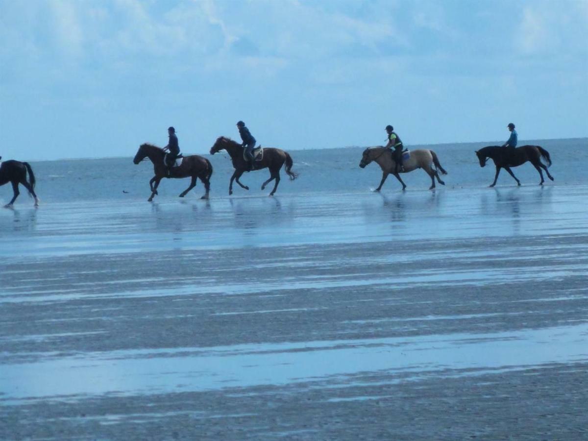 Dietrichs Wentzelhof Sankt Peter-Ording Buitenkant foto